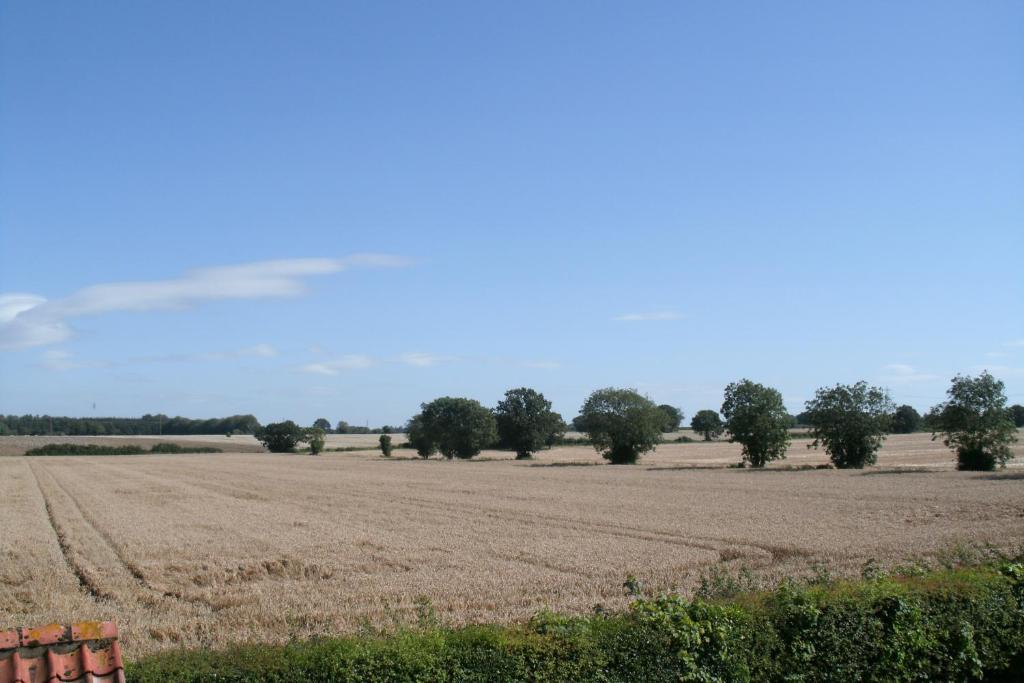 Yaxham Mill Bed & Breakfast Dereham Luaran gambar